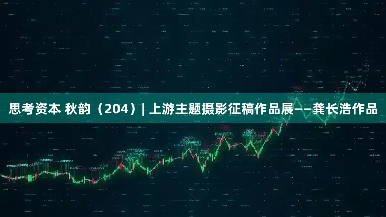 思考资本 秋韵（204）| 上游主题摄影征稿作品展——龚长浩作品