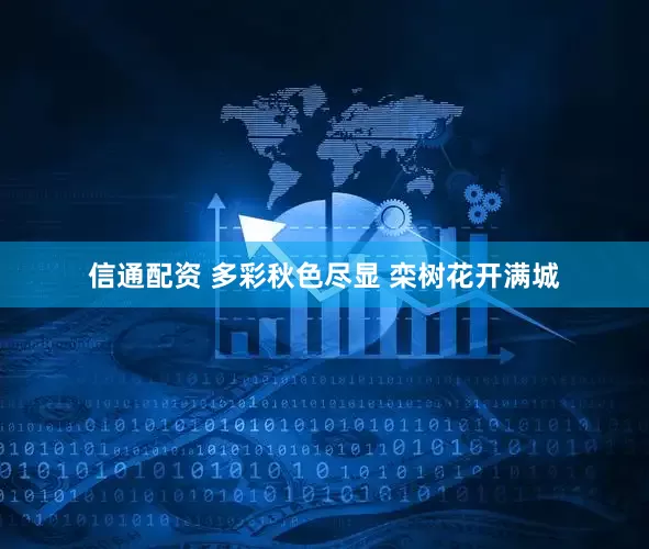 信通配资 多彩秋色尽显 栾树花开满城