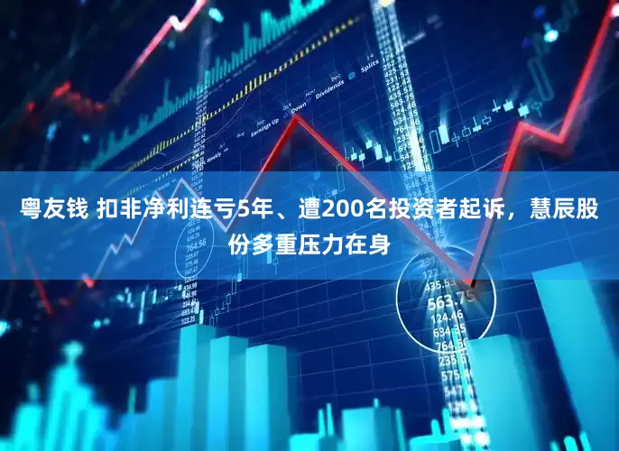 粤友钱 扣非净利连亏5年、遭200名投资者起诉，慧辰股份多重压力在身
