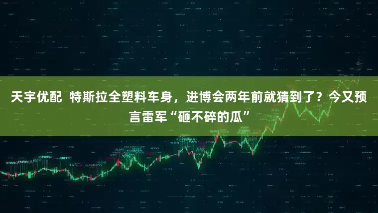 天宇优配  特斯拉全塑料车身，进博会两年前就猜到了？今又预言雷军“砸不碎的瓜”