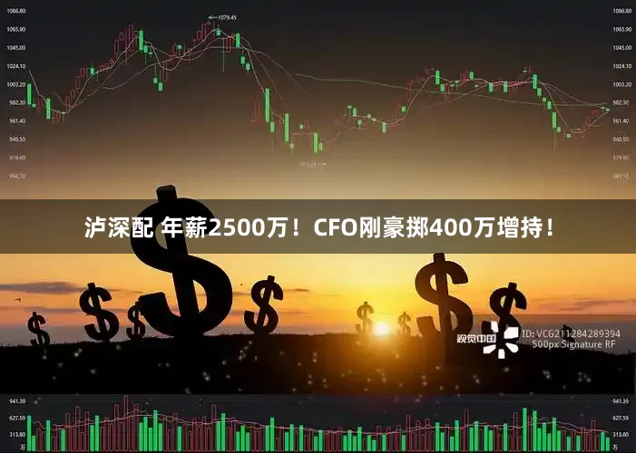泸深配 年薪2500万！CFO刚豪掷400万增持！